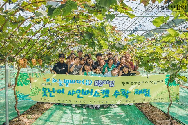 목공 · 곤충 · 원예 4